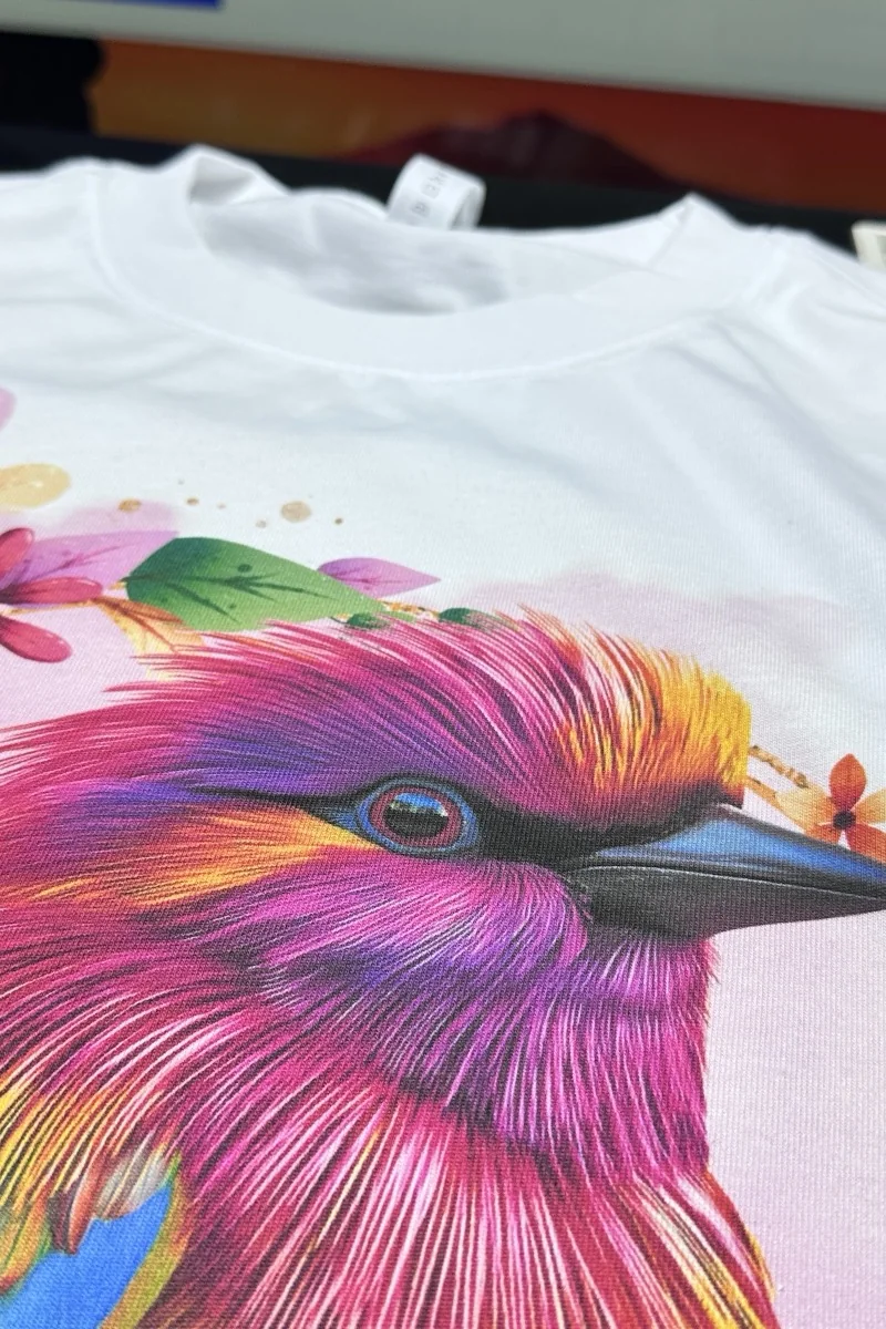 Imprion · oiseau aquarelle · détail trame