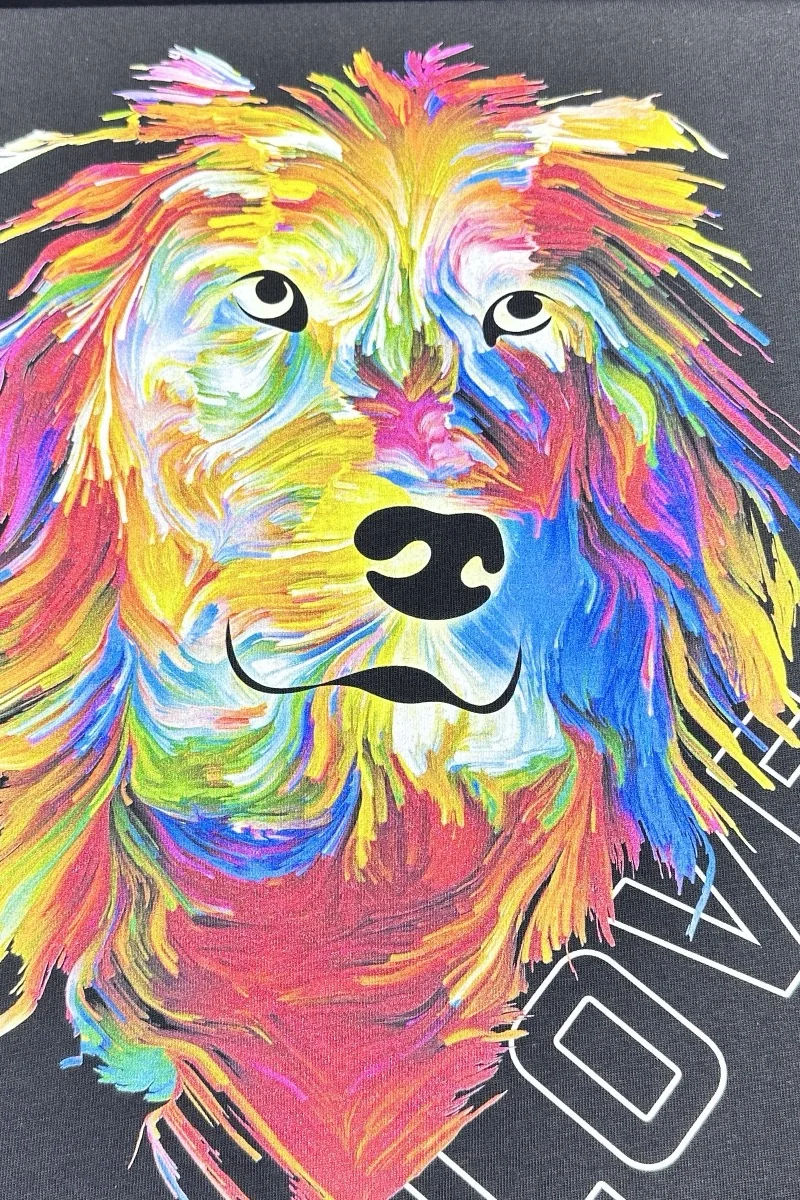 Imprion · chien arc-en-ciel · vue complète